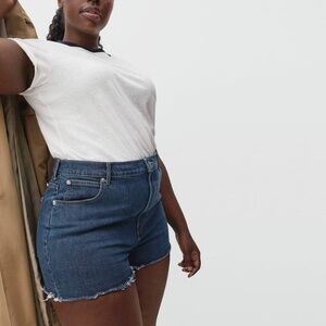 Everlane The Way-High Jean‎ Denim Short Distressed